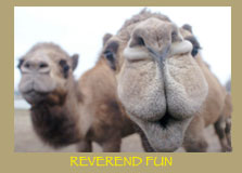 Reverend Fun
